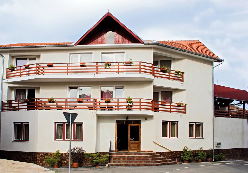 Hôtel Vila Mihu à Geoagiu Băi Extérieur photo